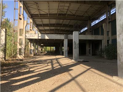 Vanzare hala/depozit/spatiu industrial Berceni - IMGB, Bucuresti