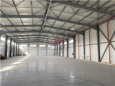 Vanzare depozit/spatiu industrial Drumul Intre Tarlale - Th. Pallady