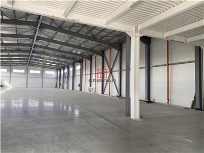 Vanzare depozit/spatiu industrial Drumul Intre Tarlale - Th. Pallady