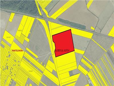 Vanzare teren intravilan Pantelimon - Centura, Ilfov